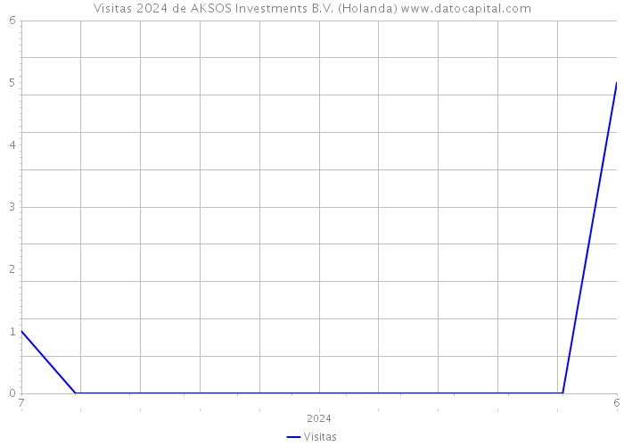 Visitas 2024 de AKSOS Investments B.V. (Holanda) 