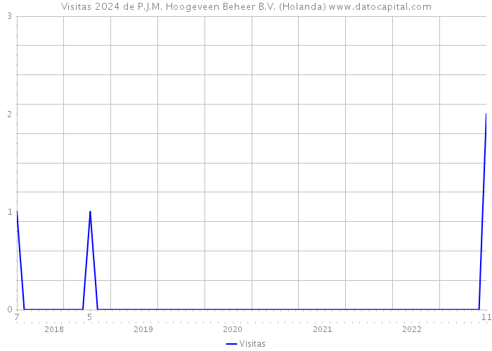 Visitas 2024 de P.J.M. Hoogeveen Beheer B.V. (Holanda) 