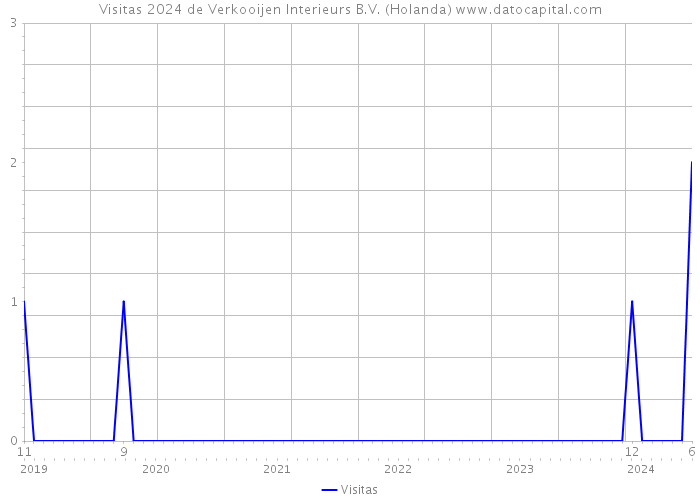 Visitas 2024 de Verkooijen Interieurs B.V. (Holanda) 