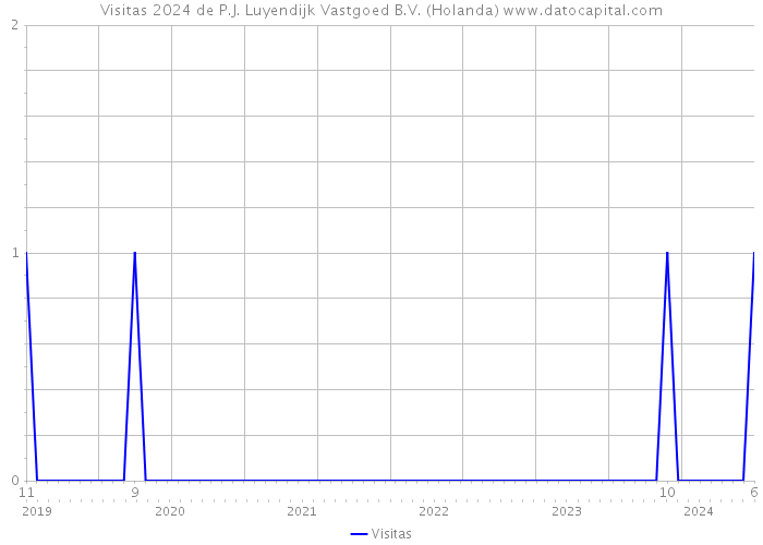 Visitas 2024 de P.J. Luyendijk Vastgoed B.V. (Holanda) 