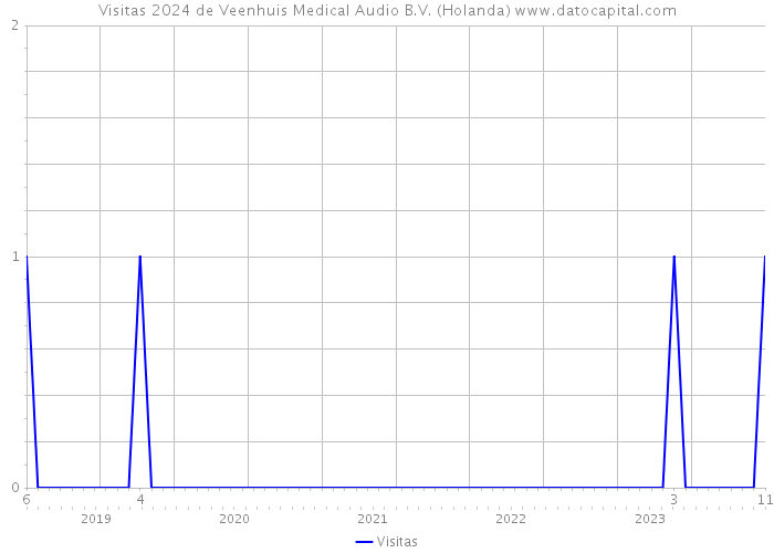 Visitas 2024 de Veenhuis Medical Audio B.V. (Holanda) 