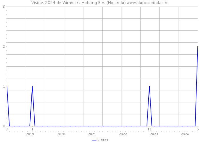 Visitas 2024 de Wimmers Holding B.V. (Holanda) 