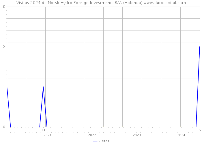 Visitas 2024 de Norsk Hydro Foreign Investments B.V. (Holanda) 