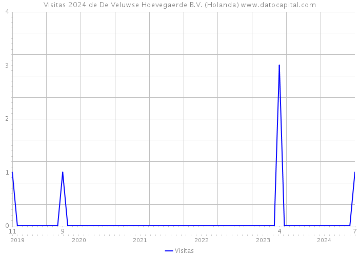 Visitas 2024 de De Veluwse Hoevegaerde B.V. (Holanda) 