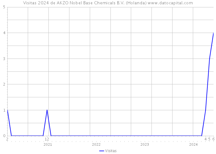Visitas 2024 de AKZO Nobel Base Chemicals B.V. (Holanda) 