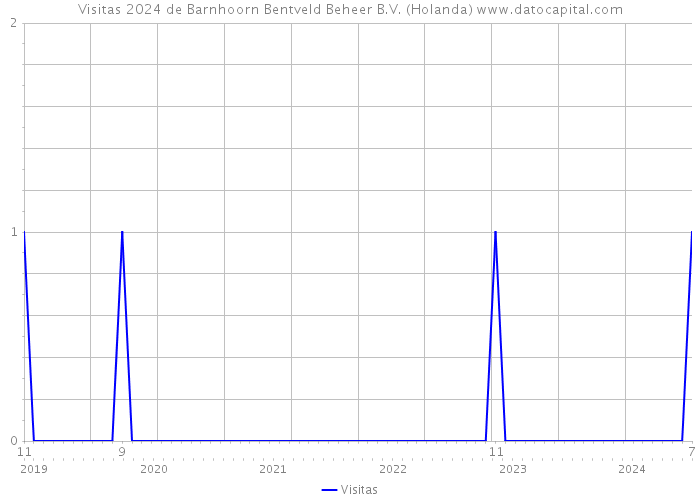 Visitas 2024 de Barnhoorn Bentveld Beheer B.V. (Holanda) 