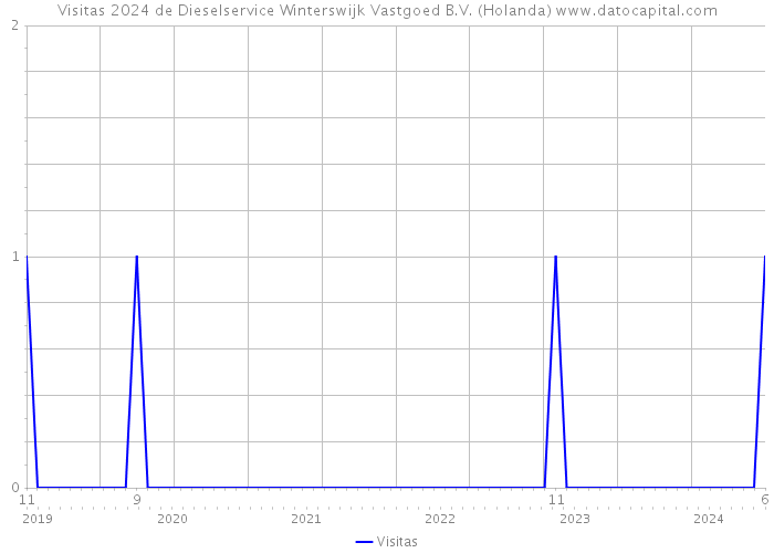 Visitas 2024 de Dieselservice Winterswijk Vastgoed B.V. (Holanda) 