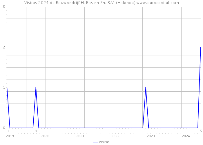 Visitas 2024 de Bouwbedrijf H. Bos en Zn. B.V. (Holanda) 