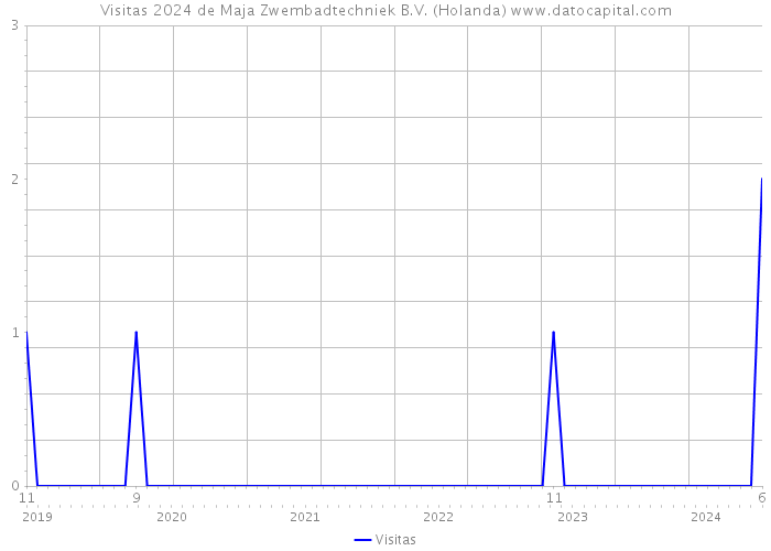 Visitas 2024 de Maja Zwembadtechniek B.V. (Holanda) 