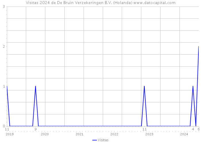 Visitas 2024 de De Bruin Verzekeringen B.V. (Holanda) 