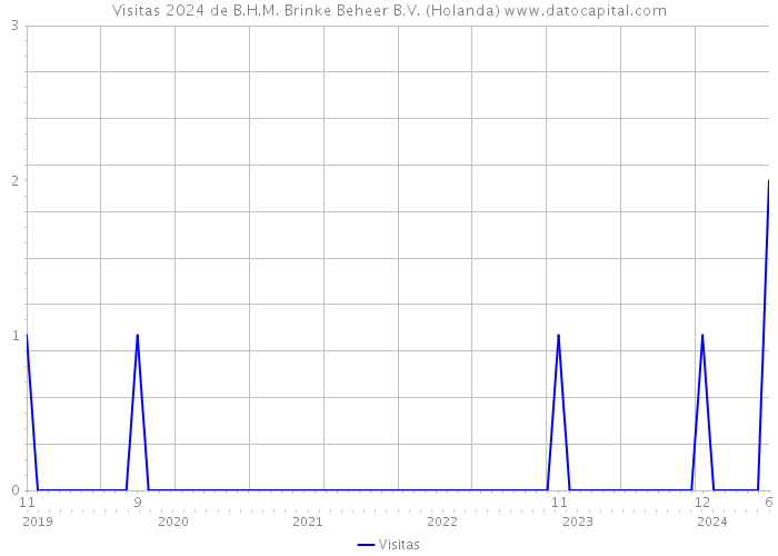 Visitas 2024 de B.H.M. Brinke Beheer B.V. (Holanda) 