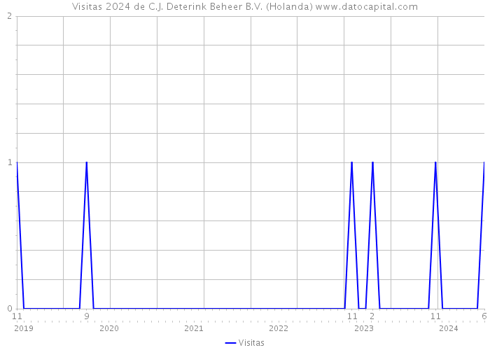 Visitas 2024 de C.J. Deterink Beheer B.V. (Holanda) 