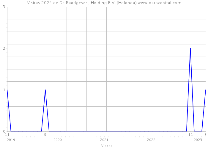 Visitas 2024 de De Raadgeverij Holding B.V. (Holanda) 
