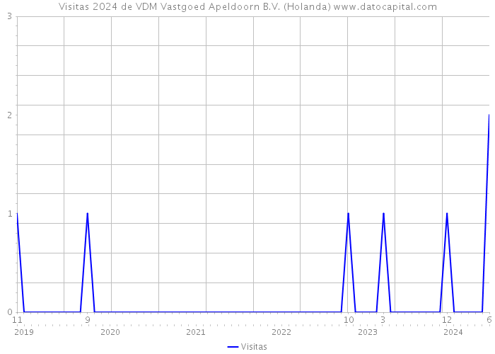 Visitas 2024 de VDM Vastgoed Apeldoorn B.V. (Holanda) 