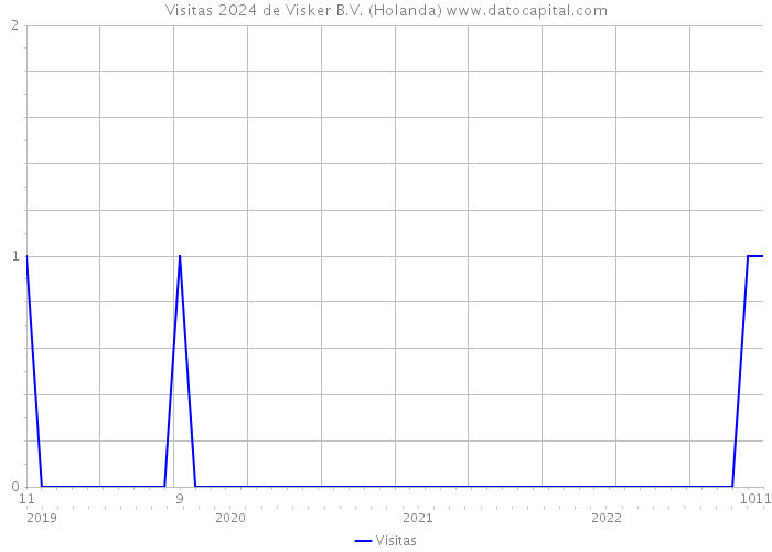 Visitas 2024 de Visker B.V. (Holanda) 