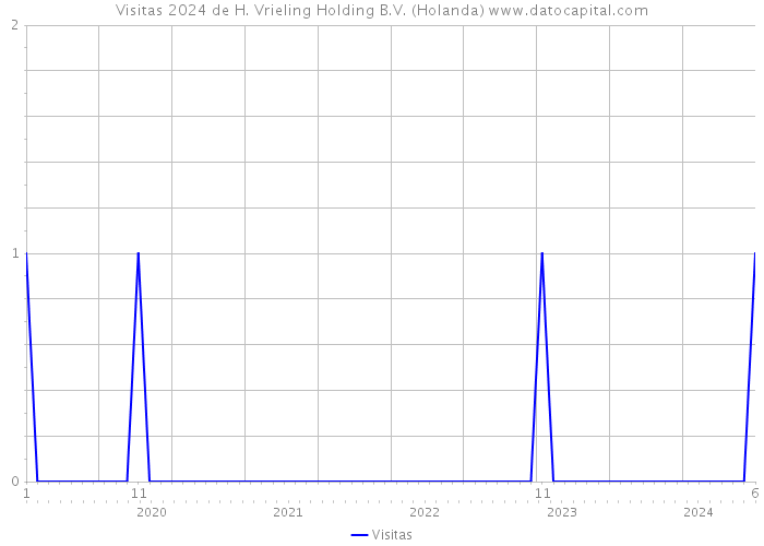 Visitas 2024 de H. Vrieling Holding B.V. (Holanda) 