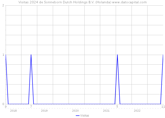 Visitas 2024 de Sonneborn Dutch Holdings B.V. (Holanda) 