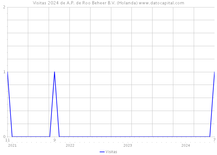 Visitas 2024 de A.P. de Roo Beheer B.V. (Holanda) 