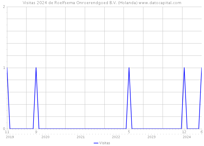 Visitas 2024 de Roelfsema Onroerendgoed B.V. (Holanda) 