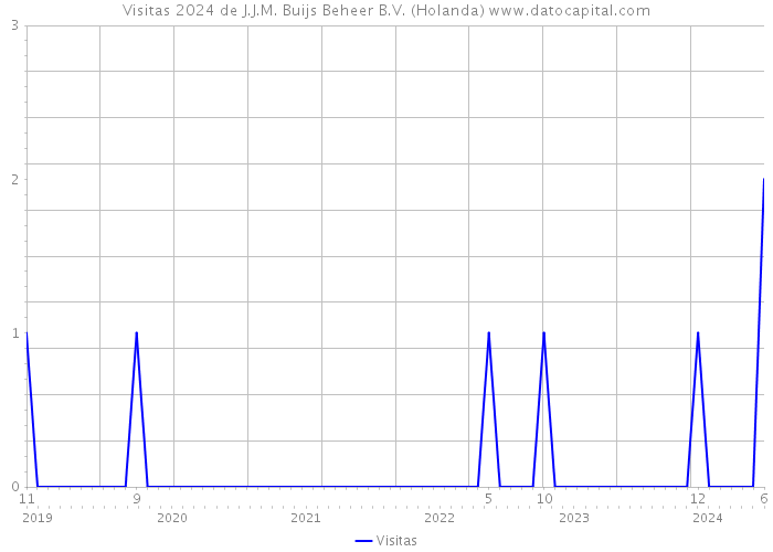 Visitas 2024 de J.J.M. Buijs Beheer B.V. (Holanda) 