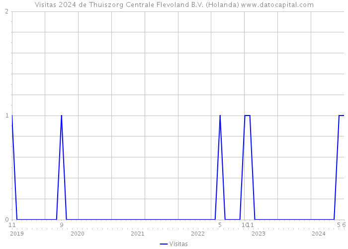 Visitas 2024 de Thuiszorg Centrale Flevoland B.V. (Holanda) 