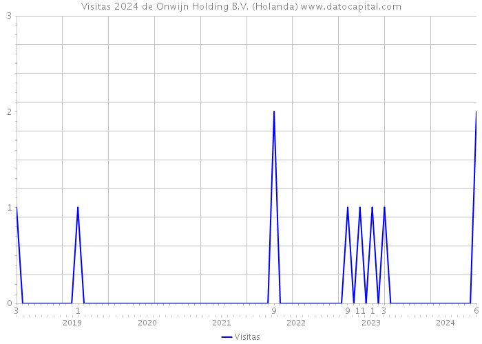 Visitas 2024 de Onwijn Holding B.V. (Holanda) 