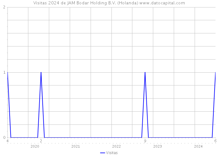 Visitas 2024 de JAM Bodar Holding B.V. (Holanda) 