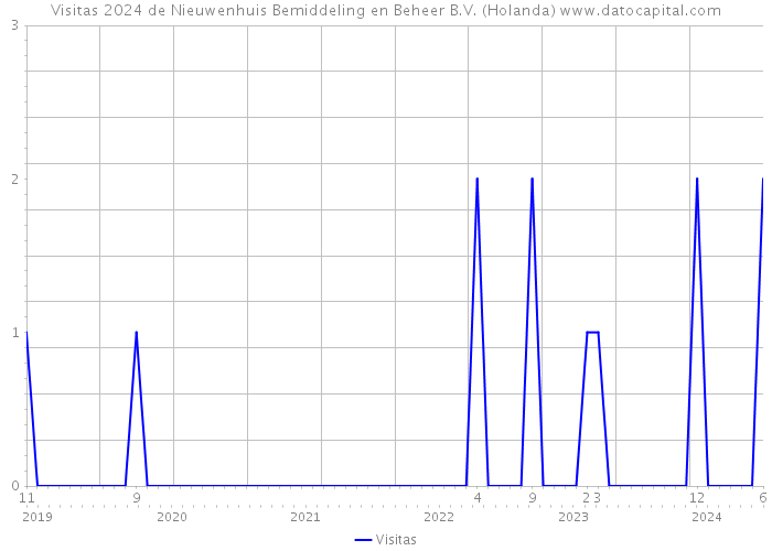 Visitas 2024 de Nieuwenhuis Bemiddeling en Beheer B.V. (Holanda) 