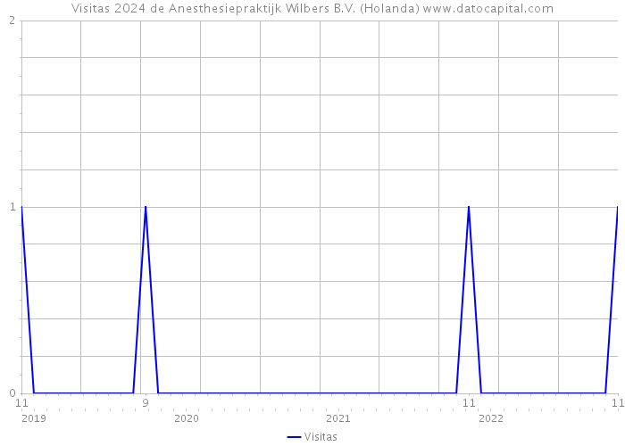 Visitas 2024 de Anesthesiepraktijk Wilbers B.V. (Holanda) 