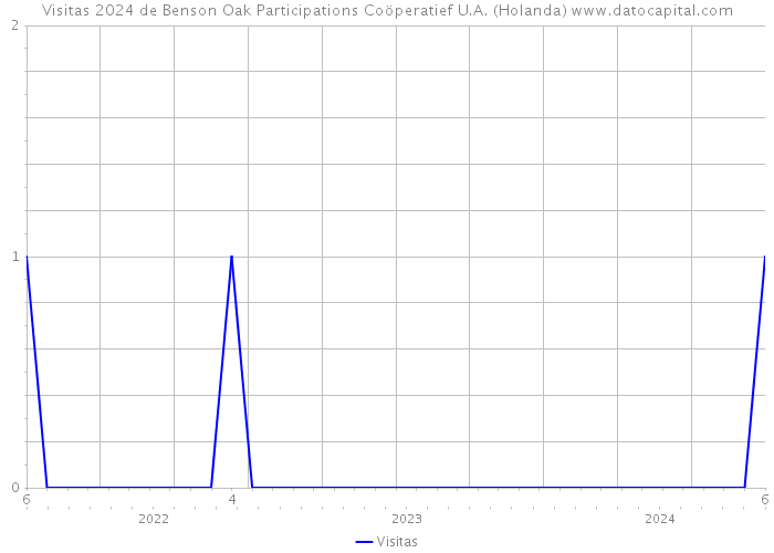 Visitas 2024 de Benson Oak Participations Coöperatief U.A. (Holanda) 