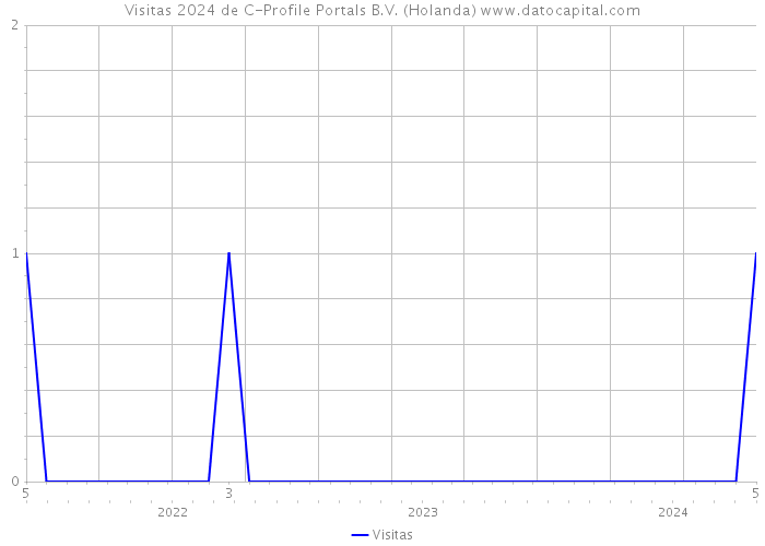 Visitas 2024 de C-Profile Portals B.V. (Holanda) 