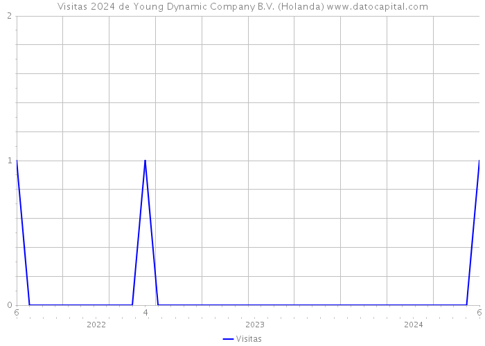 Visitas 2024 de Young Dynamic Company B.V. (Holanda) 