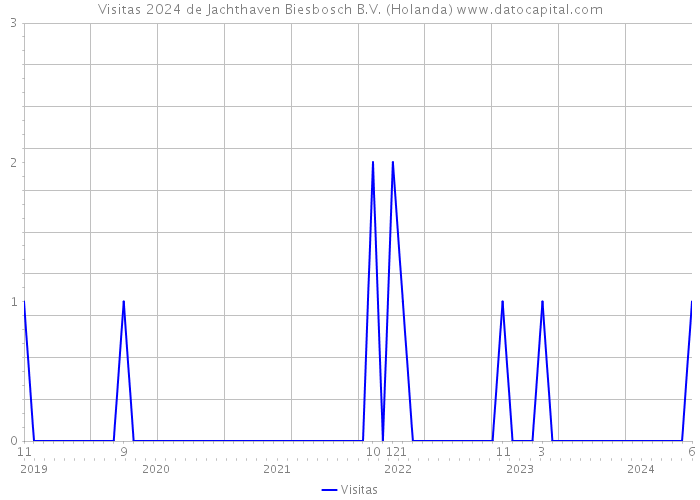 Visitas 2024 de Jachthaven Biesbosch B.V. (Holanda) 