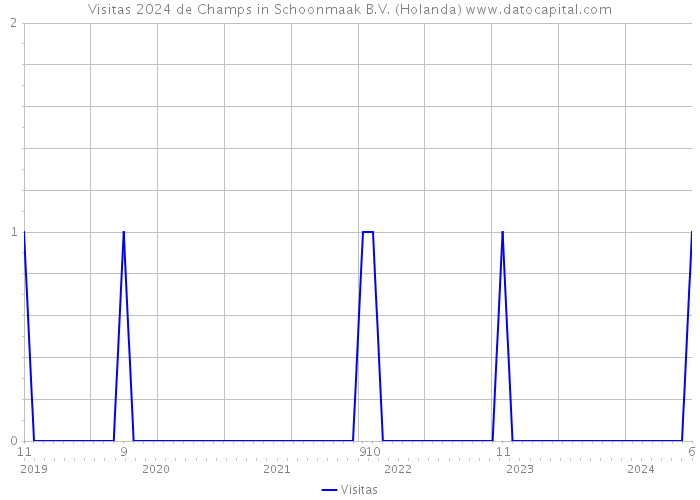 Visitas 2024 de Champs in Schoonmaak B.V. (Holanda) 