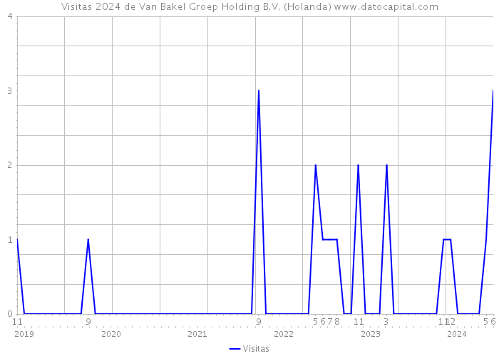 Visitas 2024 de Van Bakel Groep Holding B.V. (Holanda) 