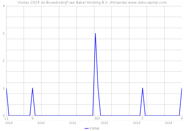 Visitas 2024 de Bouwbedrijf van Bakel Holding B.V. (Holanda) 