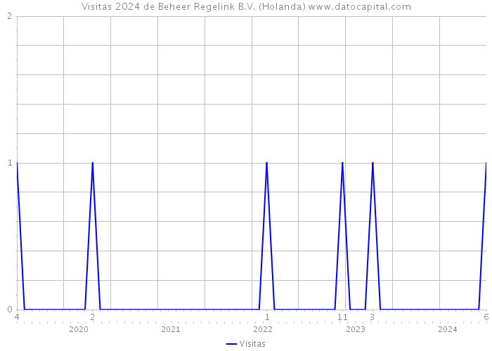 Visitas 2024 de Beheer Regelink B.V. (Holanda) 