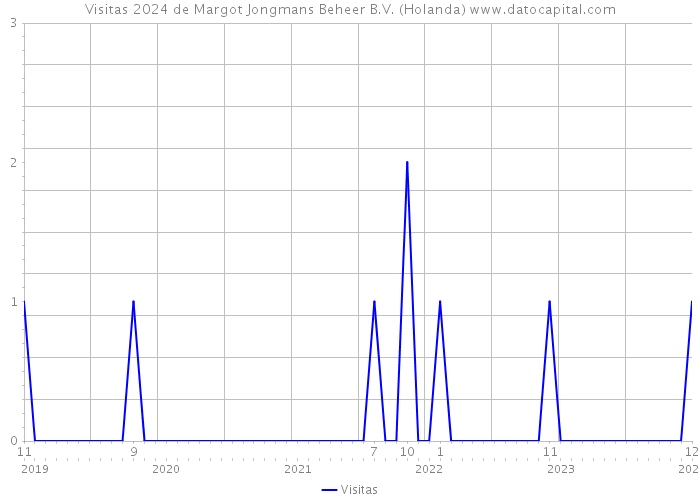 Visitas 2024 de Margot Jongmans Beheer B.V. (Holanda) 