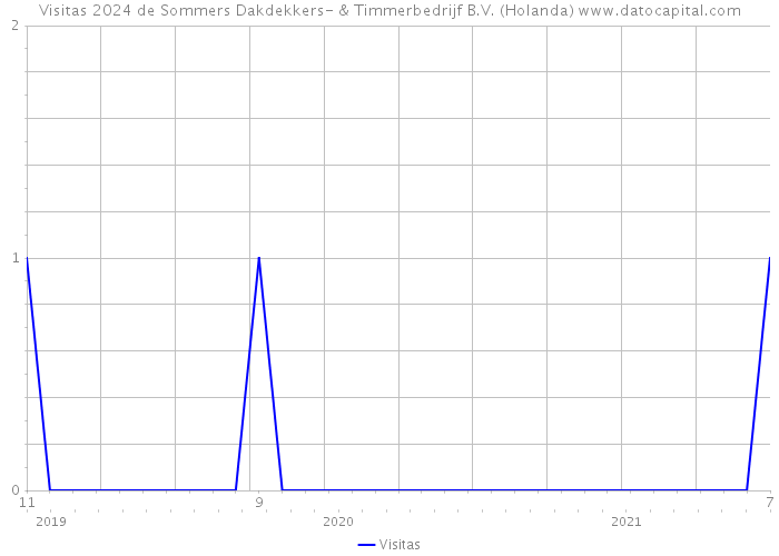 Visitas 2024 de Sommers Dakdekkers- & Timmerbedrijf B.V. (Holanda) 