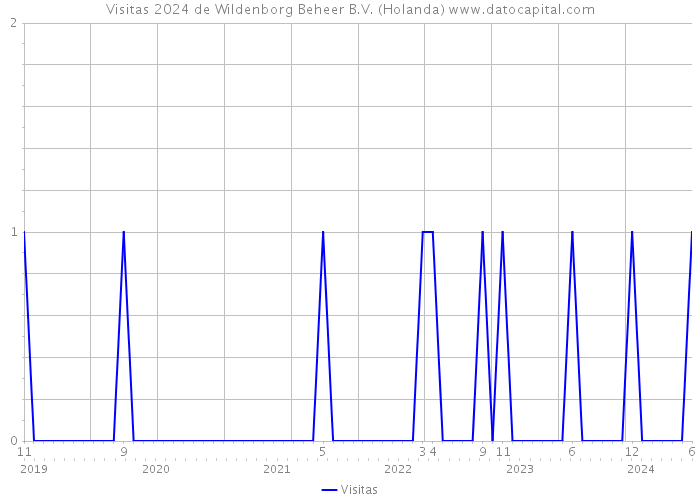 Visitas 2024 de Wildenborg Beheer B.V. (Holanda) 