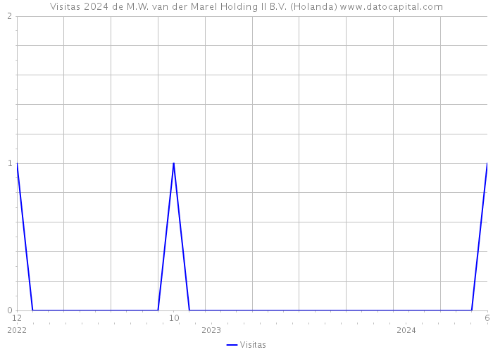 Visitas 2024 de M.W. van der Marel Holding II B.V. (Holanda) 