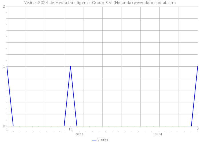 Visitas 2024 de Media Intelligence Group B.V. (Holanda) 