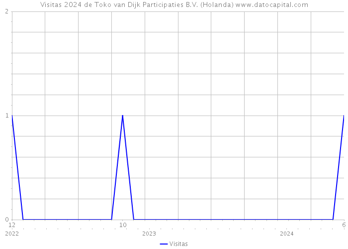 Visitas 2024 de Toko van Dijk Participaties B.V. (Holanda) 