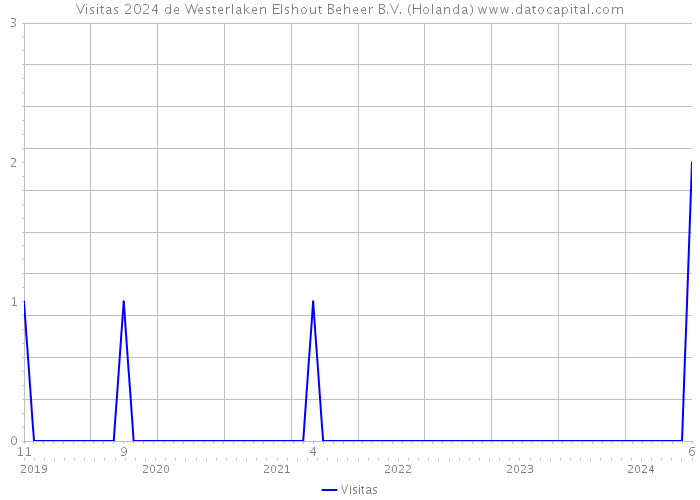 Visitas 2024 de Westerlaken Elshout Beheer B.V. (Holanda) 