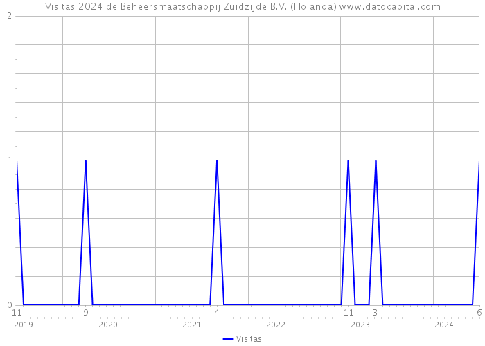 Visitas 2024 de Beheersmaatschappij Zuidzijde B.V. (Holanda) 