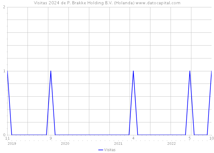 Visitas 2024 de P. Brakke Holding B.V. (Holanda) 