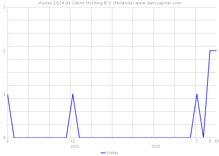 Visitas 2024 de Udink Holding B.V. (Holanda) 