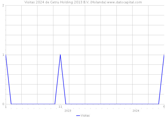 Visitas 2024 de Getru Holding 2013 B.V. (Holanda) 