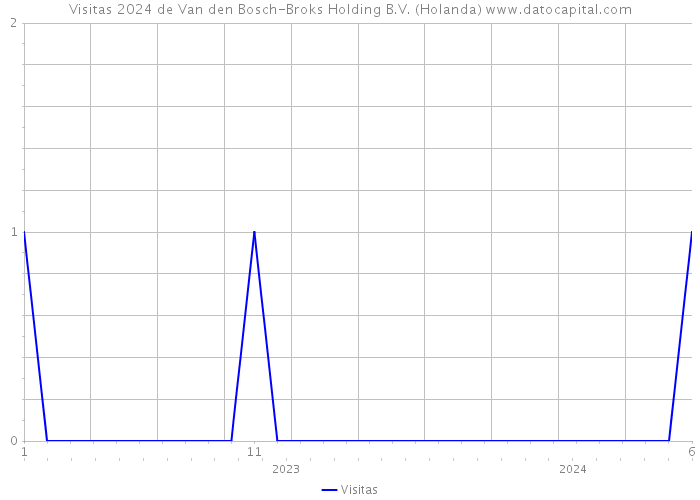 Visitas 2024 de Van den Bosch-Broks Holding B.V. (Holanda) 
