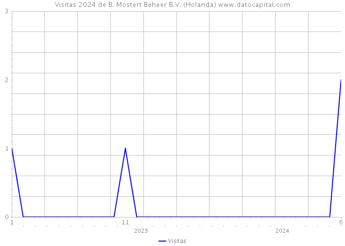 Visitas 2024 de B. Mostert Beheer B.V. (Holanda) 